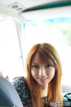 金鸡1
