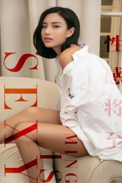 白色橄榄树电视剧免费观看